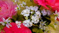 https://images.plurk.com/5yOwAUem6NTvwYyTCs54z0.jpg