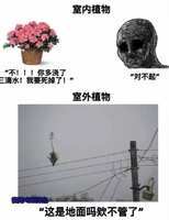 https://images.plurk.com/5yWMbM4K0NOPSGY9xz7OnY.jpg