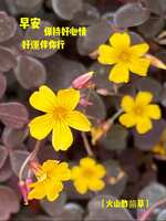 https://images.plurk.com/5yZQiDjRBolj0f9mBvnRs0.jpg