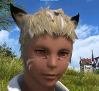 https://images.plurk.com/5yZwyo9DtMOxJqatIMaMet.png
