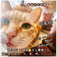 https://images.plurk.com/5ybUvVKb8NOWGxd1PnklR1.jpg