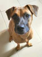 https://images.plurk.com/5ygrscEUDu3zIRC5uxbOlE.jpg
