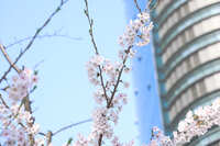 https://images.plurk.com/5yjfKnvHF1qq4MoYP9YupA.jpg