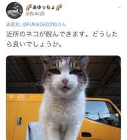 https://images.plurk.com/5yvlTFxCQl7zt3AC64YJCp.png