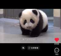 https://images.plurk.com/5yxbDYvXbzliBEYkFYebGl.jpg