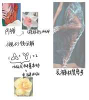 https://images.plurk.com/5yyGtdVms4Z9SzOX0nWl0m.png