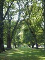 https://images.plurk.com/5z8LM5LxJ7Nluzw4Yc8qrc.jpg