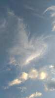 https://images.plurk.com/5z9UJ4OQQMBYxq79kwwrQa.jpg