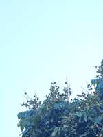 https://images.plurk.com/5zJ4M1PNJO7DneVO5vUMip.jpg