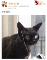 https://images.plurk.com/5zUDFUy9xsJM0zQq7bvCYd.png