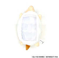 https://images.plurk.com/5zbUf0j6bVXaZWSmWXE87j.jpg