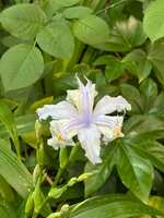 https://images.plurk.com/5znpqx1LtCg2XCJ7lkDDTn.jpg