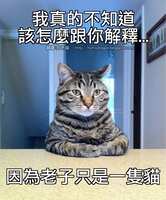 https://images.plurk.com/5zoVsuK4mSe7SoRsd2q4oI.jpg