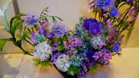 https://images.plurk.com/5zsVPftOMst4b3557dB4Wj.jpg