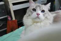 https://images.plurk.com/5zvPYmpvQkr3jJXJ8aKFur.jpg