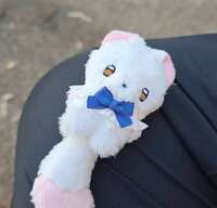 https://images.plurk.com/5zvVeJq4ntGIE5uI6WFEPr.jpg