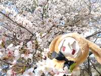 https://images.plurk.com/5zwXiNnghCCrmFyqrJ9OVM.jpg
