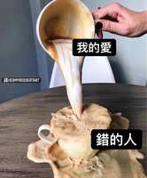 https://images.plurk.com/601zhZGiP26EUUhA3hB0qW.jpg