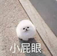 https://images.plurk.com/603xyRp7gXcN3COlfoE1qN.jpg