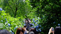https://images.plurk.com/605OoS2eNiHlKXEzvKCb.jpg