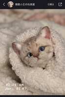 https://images.plurk.com/605eryb5UcsuWDC9uLoShH.jpg