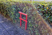 https://images.plurk.com/60CMpqxqqhH49bFIWFnPFk.jpg