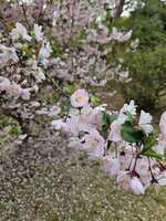 https://images.plurk.com/60Cx87rg4X6CH72NVtfYeU.jpg