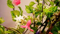 https://images.plurk.com/60IMZYnws7t32BpvhJipZR.jpg