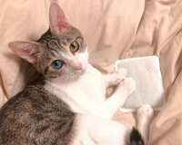 https://images.plurk.com/60TFsRW1zZ0dHdfP4zfCdO.jpg