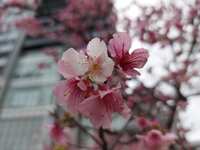 https://images.plurk.com/60e9NT2Fygpp3dJLfSXJk0.jpg