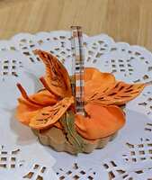 https://images.plurk.com/60fLWJVNjtjhx5pdFkGOA5.jpg