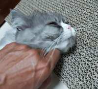 https://images.plurk.com/60gAyENH3Oxx8u2k1X6enK.jpg