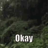https://images.plurk.com/60h7C0IJu7s7ZiRZ1X3NeY.gif