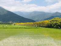 https://images.plurk.com/60jZmh2MIeufTGCYwjHfv7.jpg