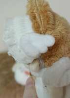 https://images.plurk.com/60lo9CkUqD29GSvhizgbkv.jpg