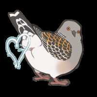 https://images.plurk.com/613quQghw90xJEjFG3NCxv.png