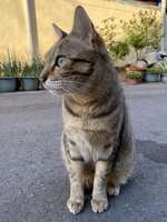 https://images.plurk.com/61417k9ly66e6SMMSdUjWH.jpg