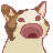 https://images.plurk.com/614MgMvtLELtmZ0zJmvppc.jpg