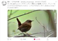 https://images.plurk.com/6158HU9fG16NVWv9DlMQeV.png