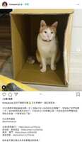 https://images.plurk.com/617cO011z8zMzcMYjKT7vN.jpg