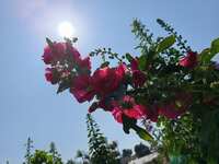 https://images.plurk.com/61EPZmTmZDhnAE8mQ0lPO.jpg