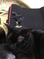 https://images.plurk.com/61Gn2EVGM7hQTtjuj01jLk.jpg