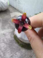 https://images.plurk.com/61SMx6RyKdZdWEF13ZnTdG.jpg
