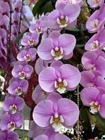 https://images.plurk.com/61VHh1khw9bDSXNYupJPtB.jpg