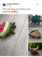 https://images.plurk.com/61VdA3G6syRAPh4en2XjN2.png