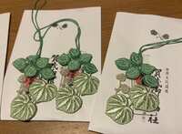 https://images.plurk.com/61cvcxYajTHBpXHEBenXRd.png