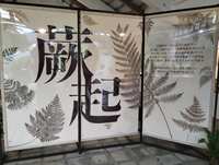 https://images.plurk.com/61gHveadvufbph9b46L81Y.jpg