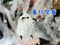https://images.plurk.com/61k5ToaMpdAuYou9lFHi59.jpg