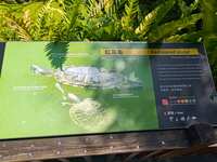 https://images.plurk.com/61mcZ5FnWomwEVpbAsjGLB.jpg