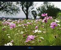 https://images.plurk.com/61msZ7FiTaPtxca2sOCinK.jpg